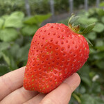 姫路ハートフル観光農園 - 