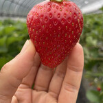 姫路ハートフル観光農園 - 