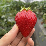 姫路ハートフル観光農園 - 