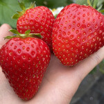 姫路ハートフル観光農園 - 