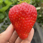 姫路ハートフル観光農園 - 