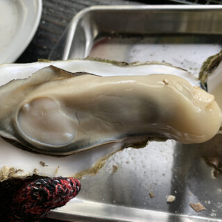 かき焼き 塩見園_1