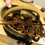 温石 - 伊勢海老です。まだまだ動いています