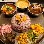 Curry Spice Gelateria KALPASI