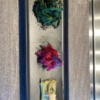 USHIGORO S. SHINJUKU - 