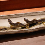 帝国ホテル 寅黒 - 