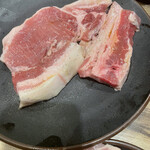 Karubi Taishou - 熟成肉のポーク、ハラミ