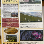 とんかつ 栄ちゃん - 