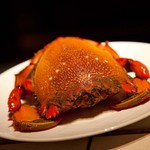 SANKARA HOTEL&SPA 屋久島 - アサヒガニ（本体）