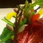 アクア パッツァ 広尾 - お野菜、色が綺麗♪
                                