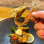 ビストロ セレニテ - 