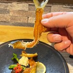 ビストロ セレニテ - 