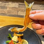 ビストロ セレニテ - 