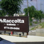 Ｒａｃｃｏｌｔａ - 