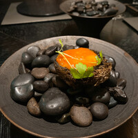 VELROSIER - 