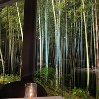 エルルカン・ビス - 