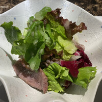 名駅 鉄板焼き 森本Ｘ Premium - 