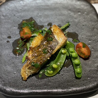 名駅 鉄板焼き 森本Ｘ Premium - 