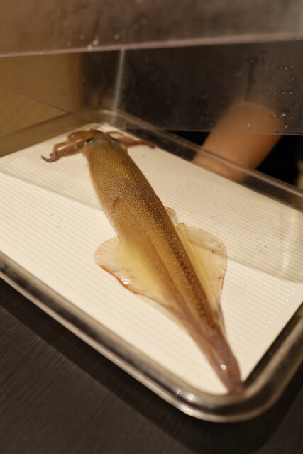 Shiki Seafood Shunka photo 2