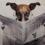 浅草洋食 クロモジ亭 - 壁のポスター。かっこいい！