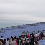 Mito Doraibuin Hitachino Sato - ひたち海浜公園