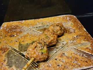 Sumibi Kushiyaki Otowatei