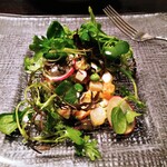 レストラン タケウチ - ツブ貝、サーモン、小エビのサラダ