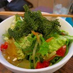 てぃんさぐぬ花 - 島サラダ