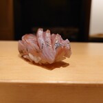 鮨 はしもと - アジ