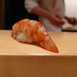 鮨 はしもと - 車海老