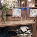 Neo Bistro いずの蔵 - 