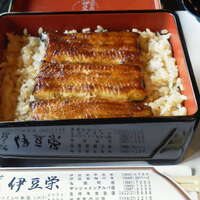 鰻割烹 伊豆栄 本店 - うな重 松