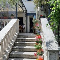 表参道バンブー - 