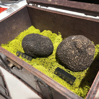 マルゴット エ バッチャーレ - 