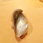 すし 豊倉 - コハダは必ずストライク！