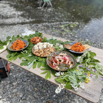 アントシカダ - 