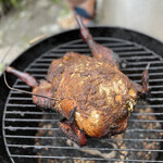 アントシカダ - 