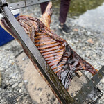 アントシカダ - 