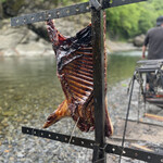 アントシカダ - 