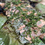 アントシカダ - 