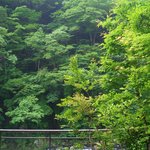 松楓楼 松屋 - 庭からの景色