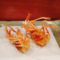天冨良 よこ田 - 