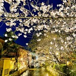 RESTAURANT TAMURA - ◎京都祇園の巽橋から眺める満開の夜桜。