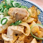 Yoshinoya - 鶏肉がゴロゴロ