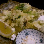 四季祭 - ふきのとうの天ぷら