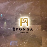 PONGA PREMIUM - 