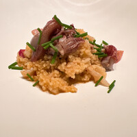 カンテサンス - 