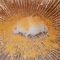 鶫 - 