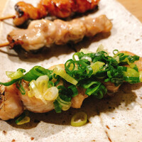 うなぎ 目白ぞろ芽 - 