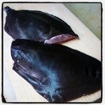 Gyare Rakuza - このお魚は『さんのじ』こんな珍しいお魚も。